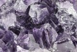 Sparking, Purple, Amethyst Crystal Cluster - Uruguay #215224-1